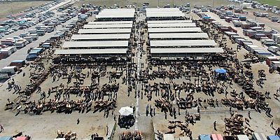 Şarkışla Hayvan Pazarı Geçici Olarak Kapatıldı 